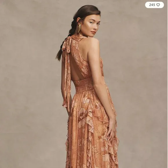 BHLDN High-Neck A-Line Chiffon Gown size XS - Picture 3 of 4